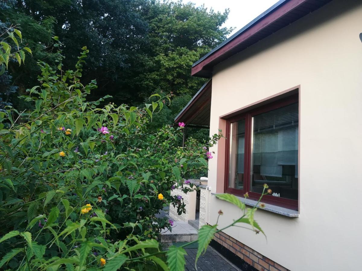 Ferienhaus Am Wald Loissin Buitenkant foto
