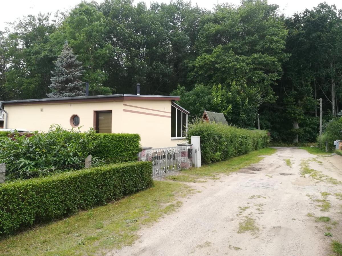Ferienhaus Am Wald Loissin Buitenkant foto